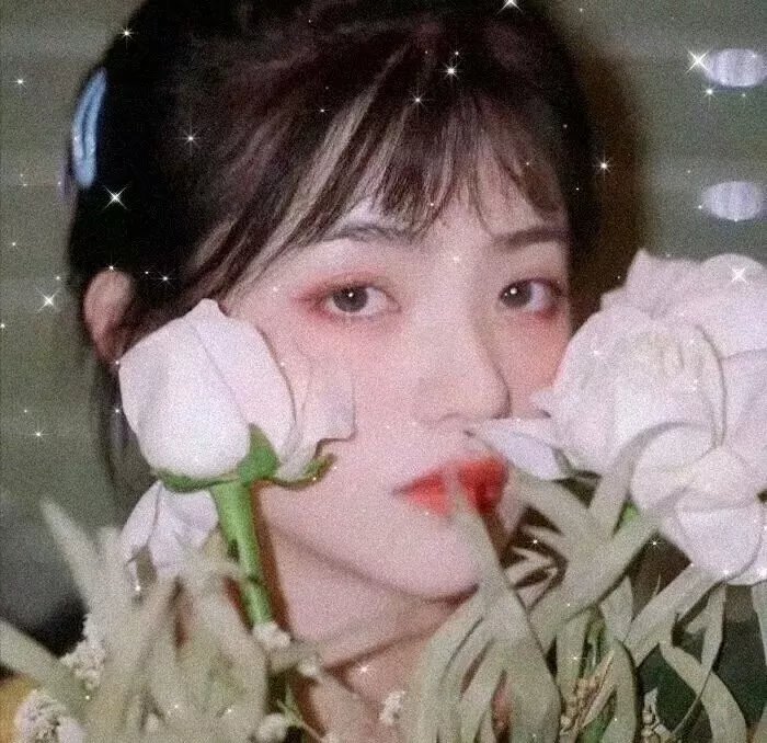 彩虹失窃事件